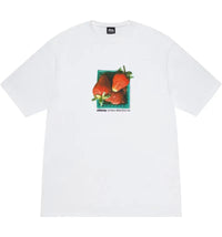 Stussy Berries Tee White