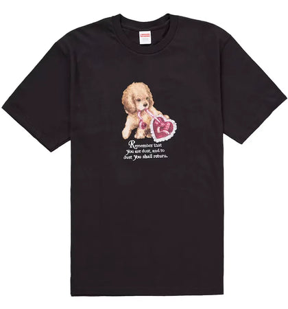 Supreme Dust Tee Black - authentic Supreme product