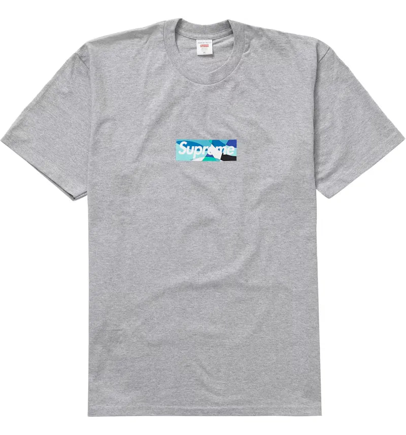 Supreme Emilio Pucci Box Logo Tee Heather Grey/Blue - vue 360