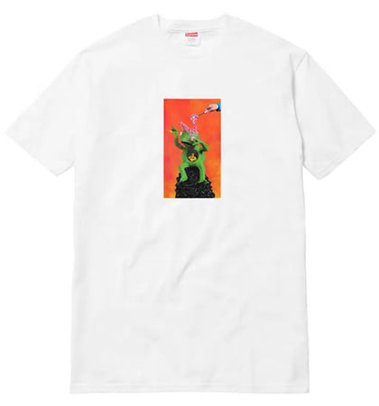 Supreme Mike Hill Brains Tee White - authentic Supreme product