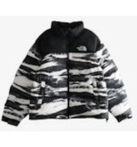 The North Face 1996 Retro Nuptse Print Jacket Multi